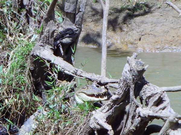 I have just spotted lunch.... so I am happy now