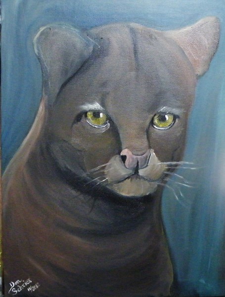 Jaguarundi From South America