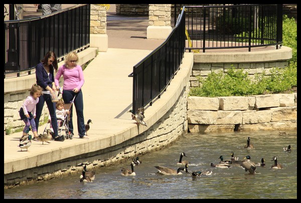 ACTIVITY ON THE RIVERWALK
