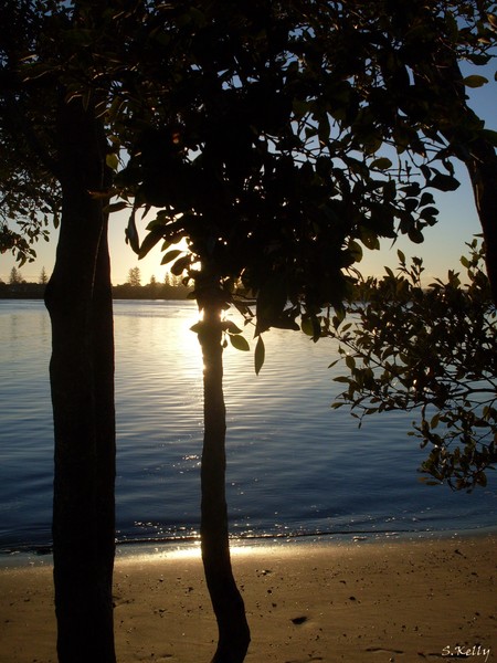 Beach Idyll