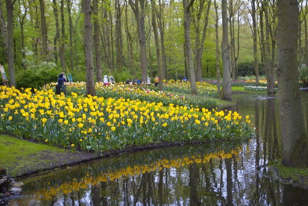 Walk in the Gardens