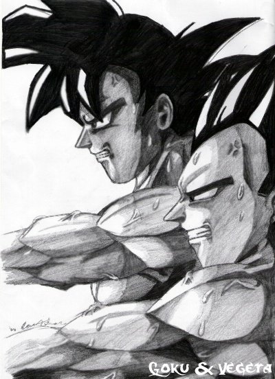 Goku & Vegeta Training