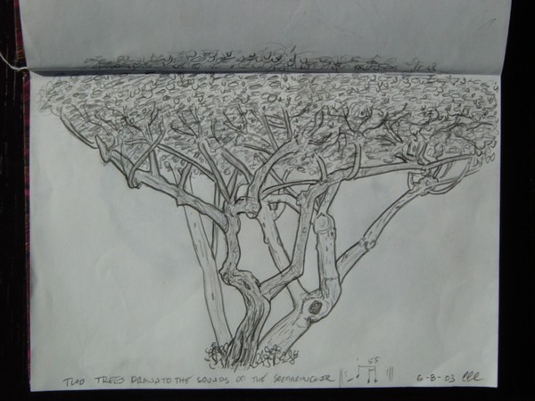 Two Trees