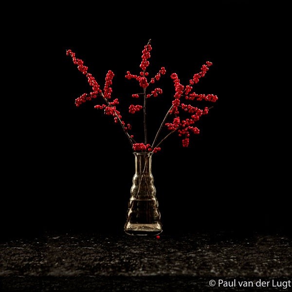 red berry