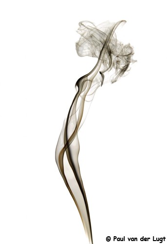 smoked lady