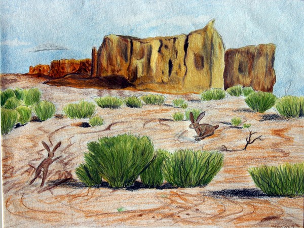 Runnin' in the Desert