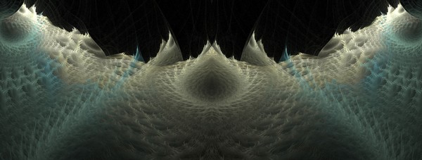 Shells 29
