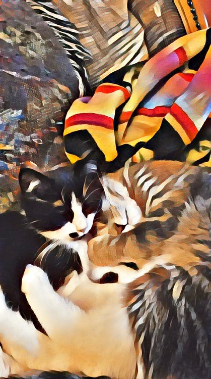 photo art 20180105 162225