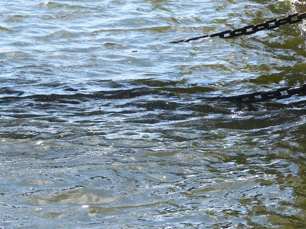 chained..waters..