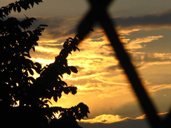 X-SILHOUETTE..S..KY