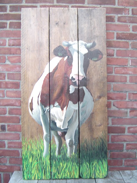 Dutch cow