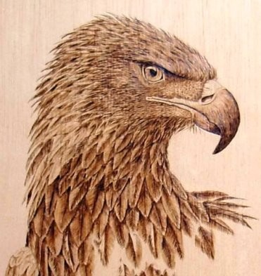 Eagle