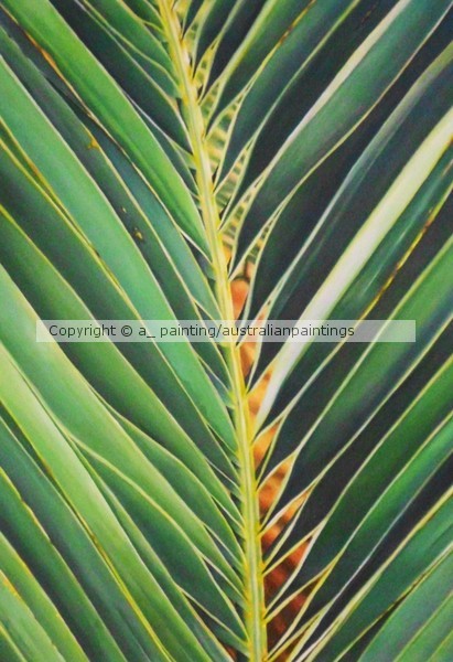 palm