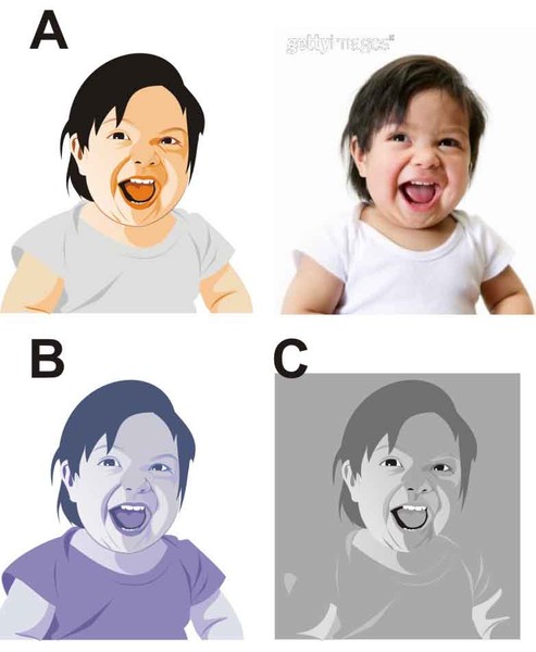 Bayi Vector