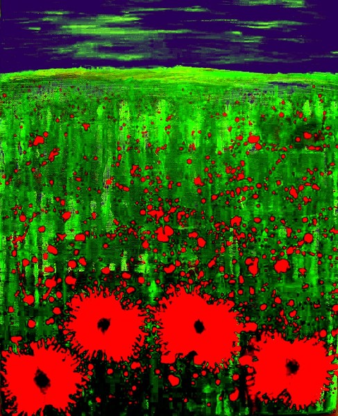 Pop Poppy Field
