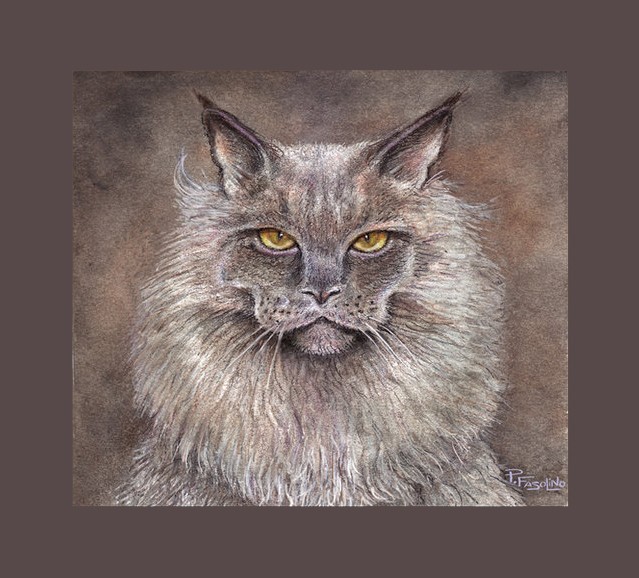 cat portrait
