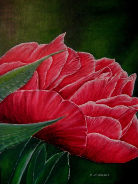 The rose