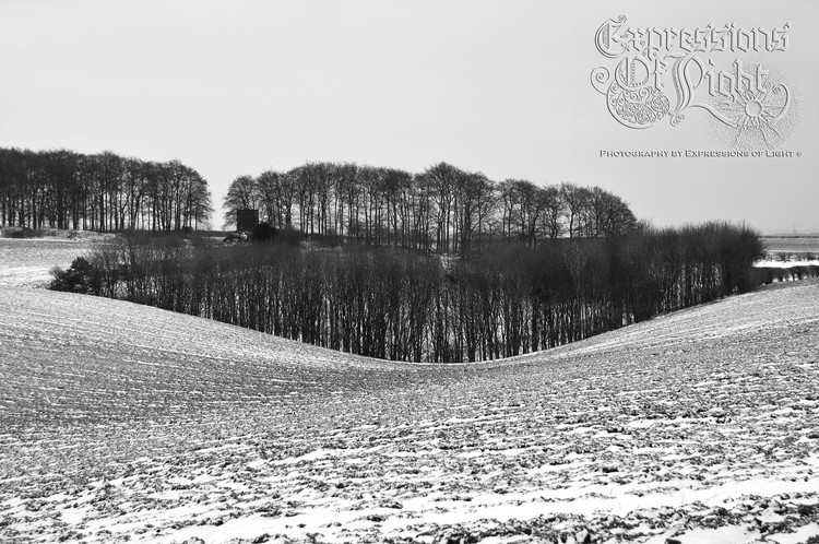 ExpoLight-The-Lincolnshire-Wolds-Winter-18-03-2018-0038 (SP)