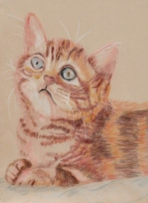 WhistletheKitten