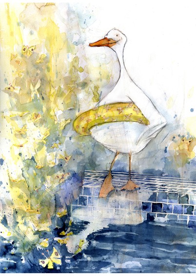 Duck