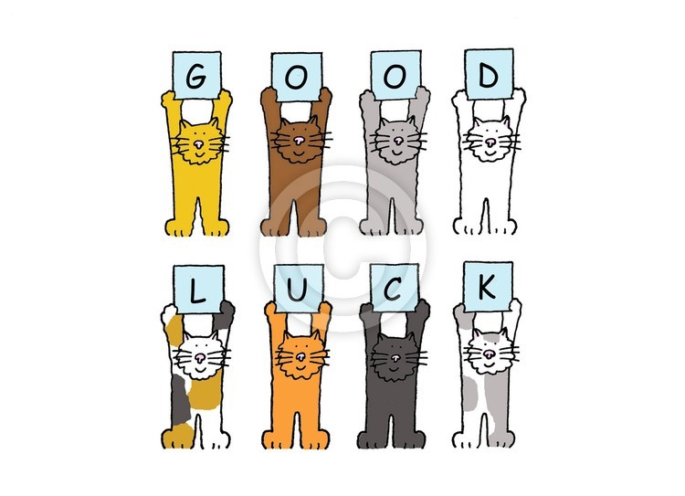 GoodLuck Kittens.