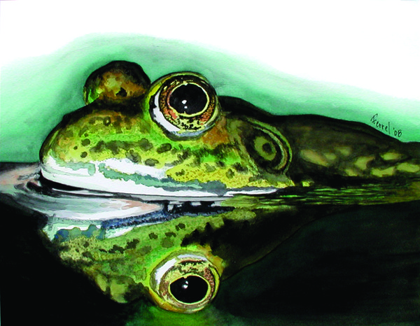 Frog