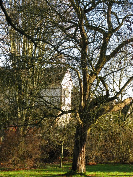 Lacock Abbey Grounds