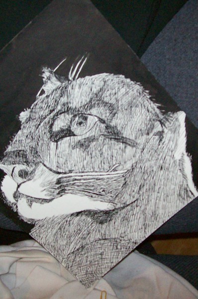 Lion in ink
