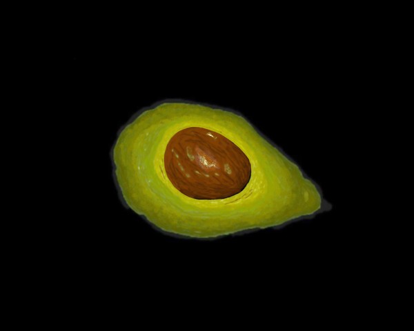 Avocado