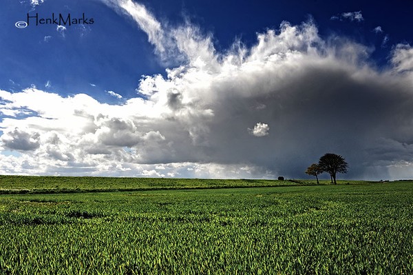Holland 1
