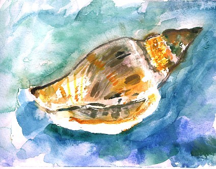 Seashell