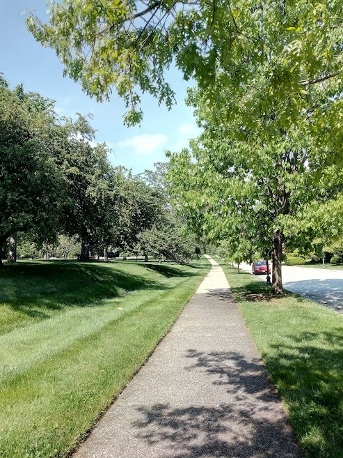 Greenery Walkway photo