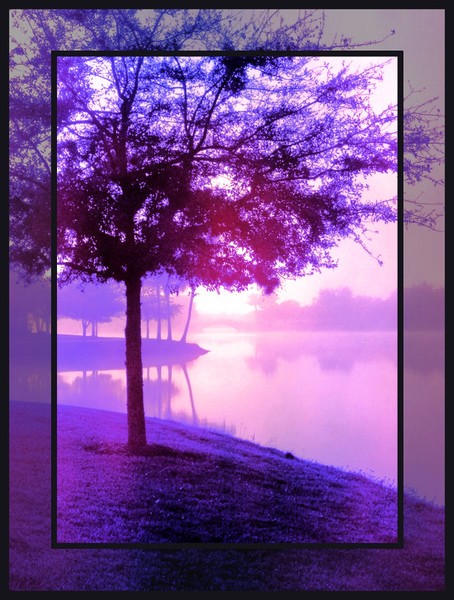 day dream