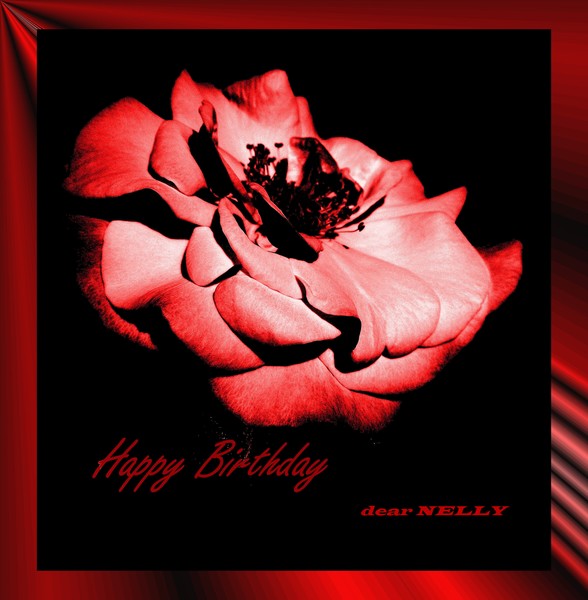 Une Rose pour NELLY