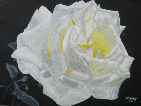 White Rose