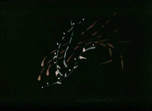 Feather Fish