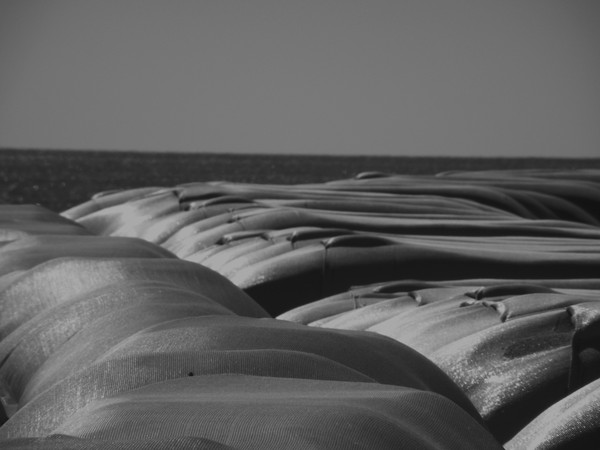 sandbags