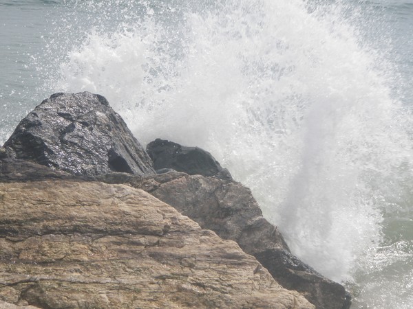 Ocean Spray