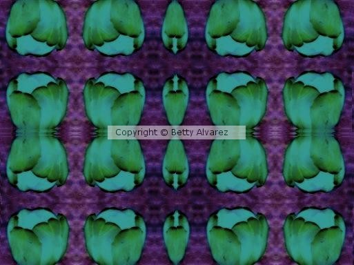 Tulipas e Borboletas