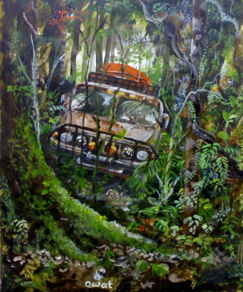Rainforest safari