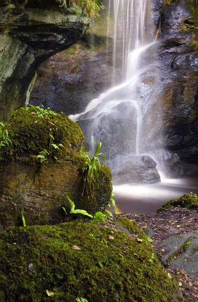 Roughting Linn