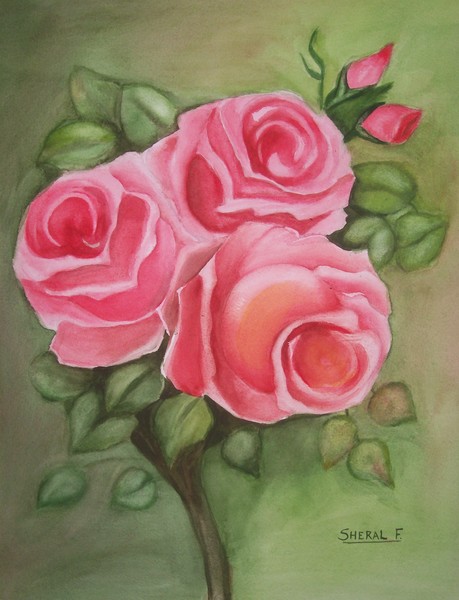 Roses
