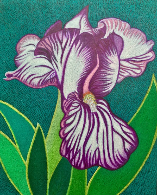 IRIS