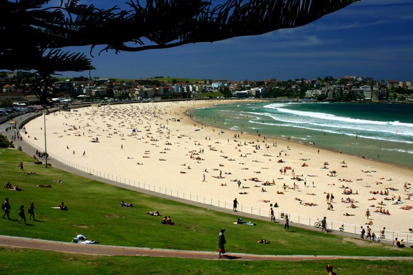 Bondi Beach