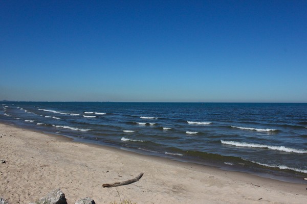 Indiana Dunes 