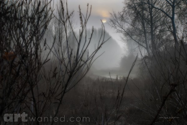 Dreamy sunrise