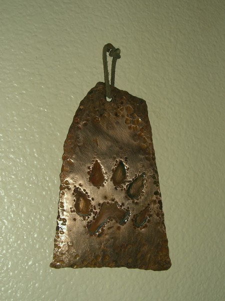 Raccoon Track