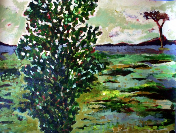 landscape