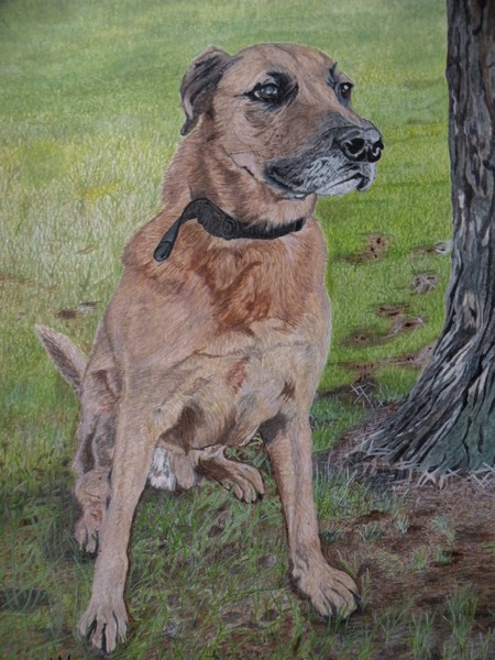 The guardian of Tall Pines G.C.