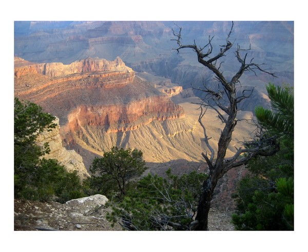 South Rim of the Grand Canyon